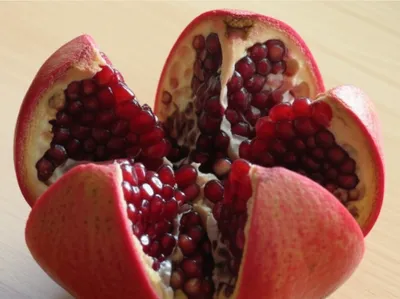 Illustration bursting - Image 1