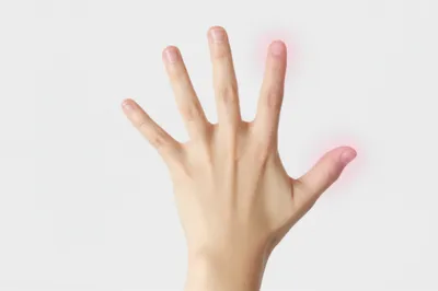 Illustration auricular - Image 1