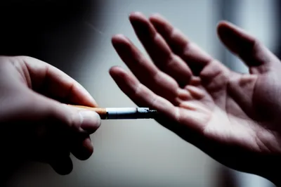 Illustration bot - Image 1