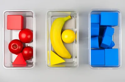 Illustration sorting - Image 1