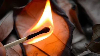 Illustration ignites - Image 1