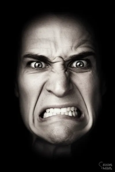 Illustration sod - Image 1