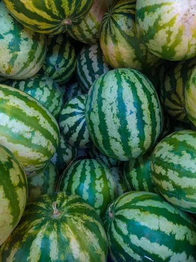 Illustration watermelons - Image 2