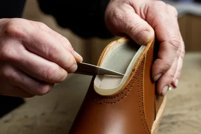 Illustration shank - Image 1