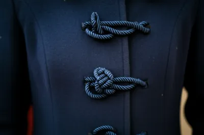 Illustration frogs - Image 1