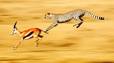 Hình ảnh minh họa by-and-by - Ảnh 1