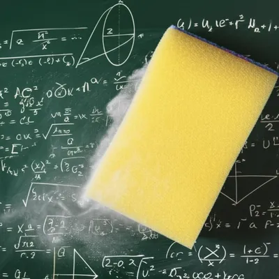 Illustration sponges - Image 1