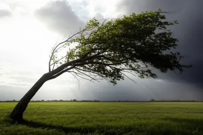 Illustration recovers - Image 1