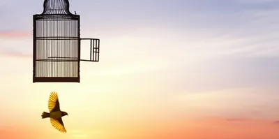 Illustration released - Image 1