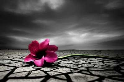 Illustration unkind - Image 1