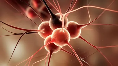 Illustration acceptor - Image 1