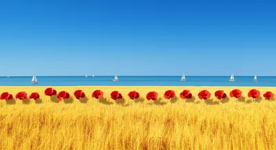 Illustration punctuated - Image 1