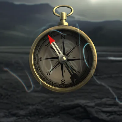 Illustration madder - Image 1