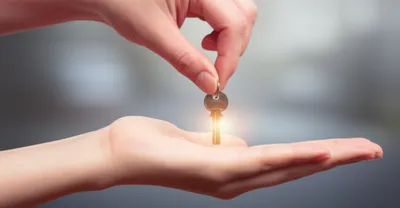 Illustration seises - Image 1