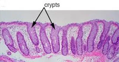 Illustration crypt - Image 2