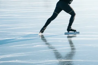 Illustration scull - Image 1