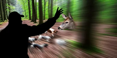 Illustration hound - Image 1