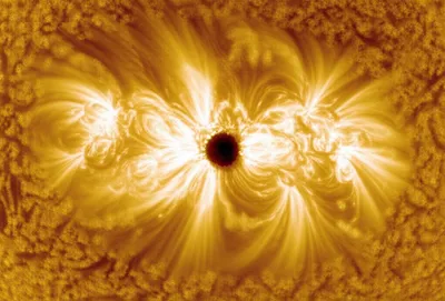 Illustration penumbra - Image 1