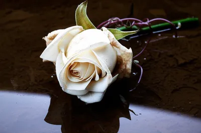 Illustration deprave - Image 1