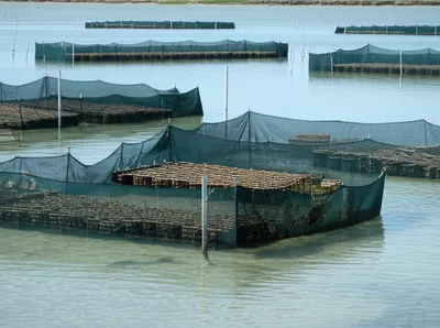 Illustration park - Image 1