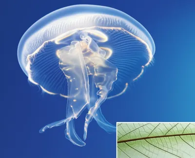 Illustration glasses - Image 1