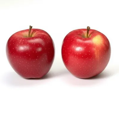 Illustration idem - Image 1