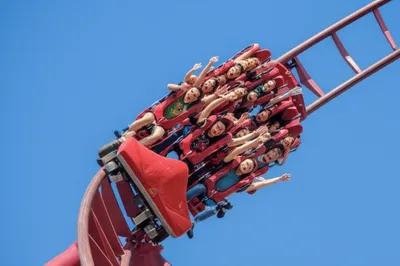 Illustration plunging - Image 1