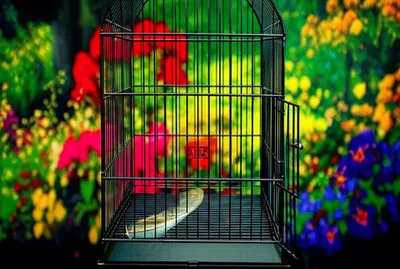 Illustration widowed - Image 1