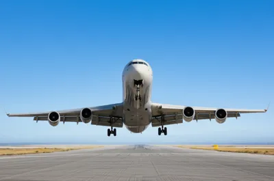 Illustration flared - Image 1