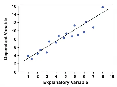 Illustration regress - Image 1