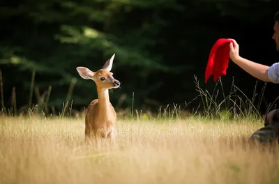 Illustration flagged - Image 1