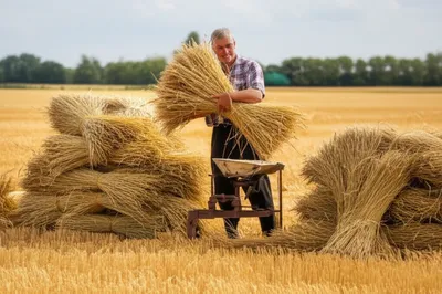 Illustration tithe - Image 1