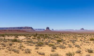 Визуальная иллюстрация слова «southwestern» - Юго-западный