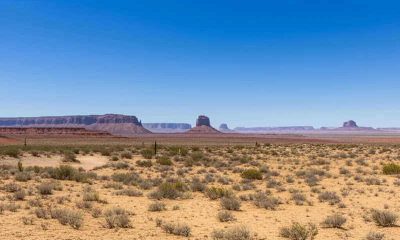 「southwestern」の視覚的なイラスト - 南西の