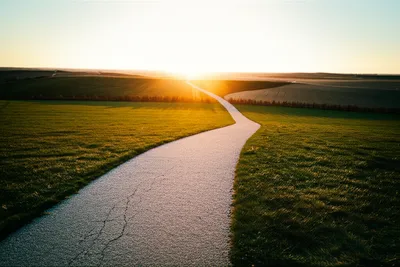 Illustration exposition - Image 1