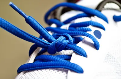 Illustration shoelace