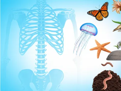 Illustration invert - Image 1