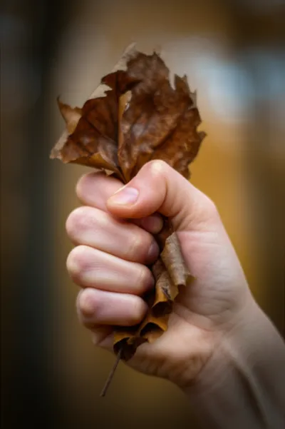 Illustration scrunch - Image 1