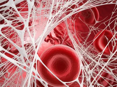 Illustration fibrin - Image 1