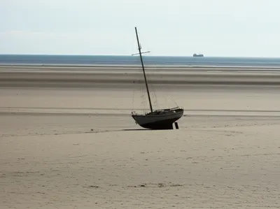 Illustration sues - Image 1