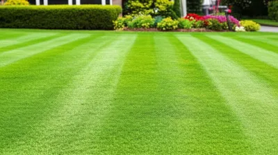 Illustration lawnmower