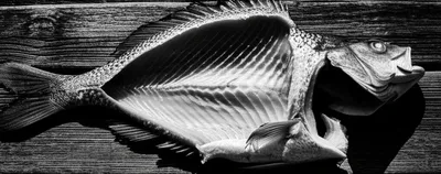 Illustration drawn - Image 1