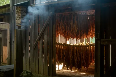 Illustration smokehouse - Image 1