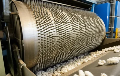 Illustration willy - Image 1