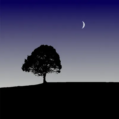 Illustration dusk - Image 1