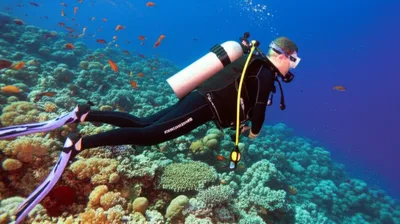 Illustration wings - Image 1