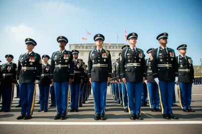 Illustration marshaled - Image 1