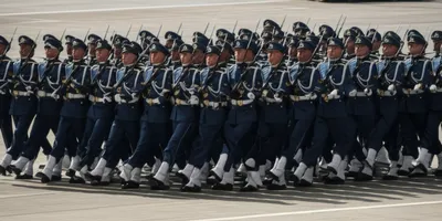 Illustration regular - Image 1