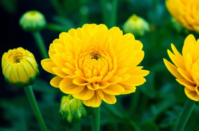 Illustration excellence - Image 1