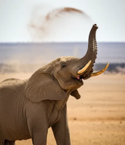 Illustration trumpet - Image 1